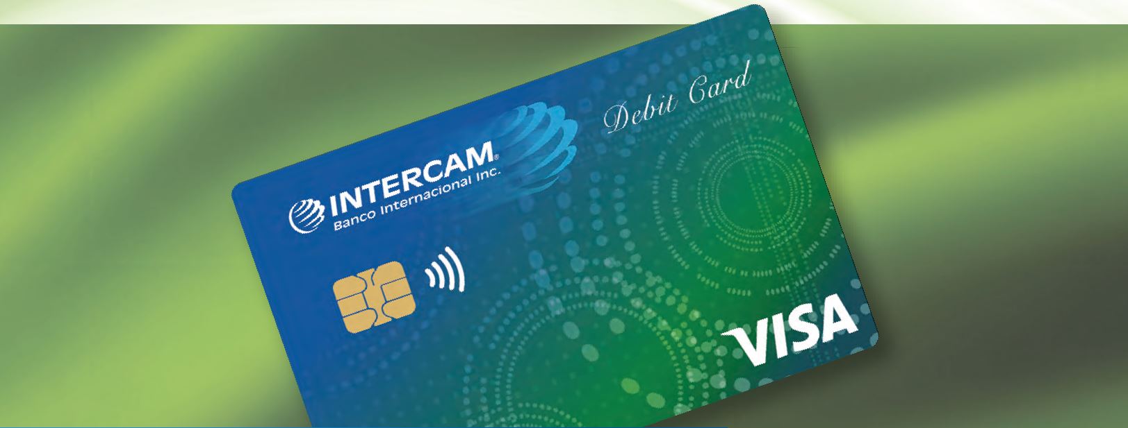 visa-debit-card